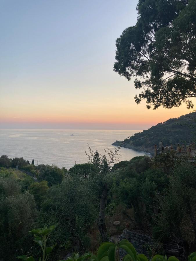 Nel Blu Dipinto Di Blu Apartment Levanto Dış mekan fotoğraf