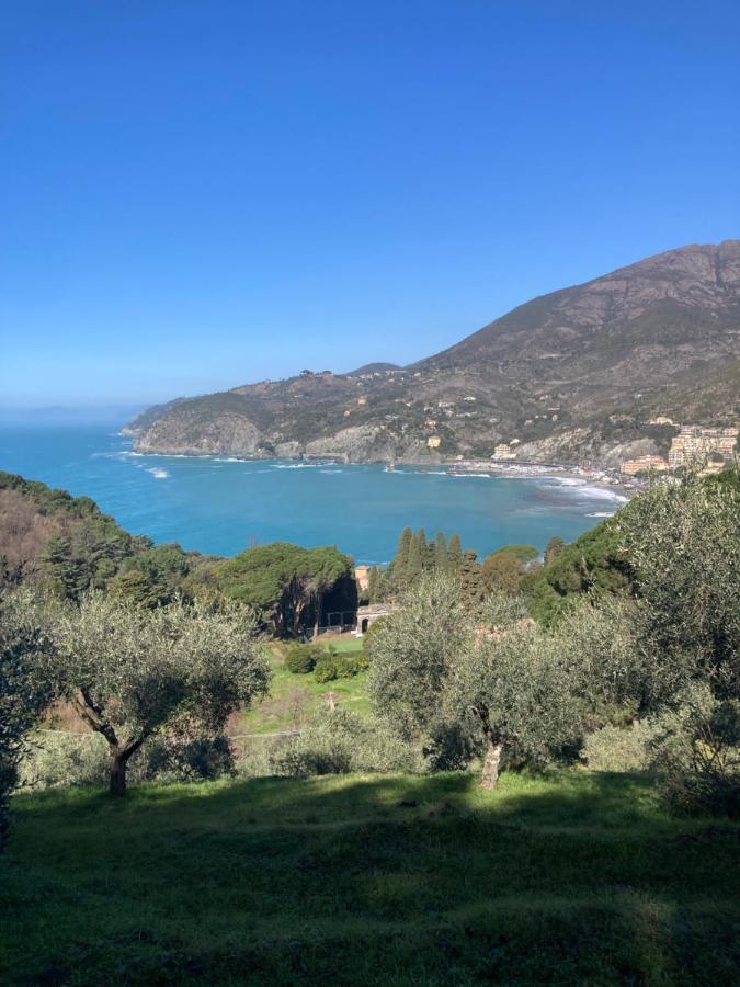 Nel Blu Dipinto Di Blu Apartment Levanto Dış mekan fotoğraf